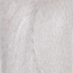 nsilver
