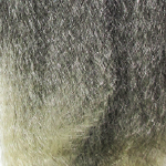 t1b613
