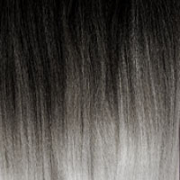 t1bsilver