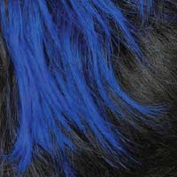 2bluerl
