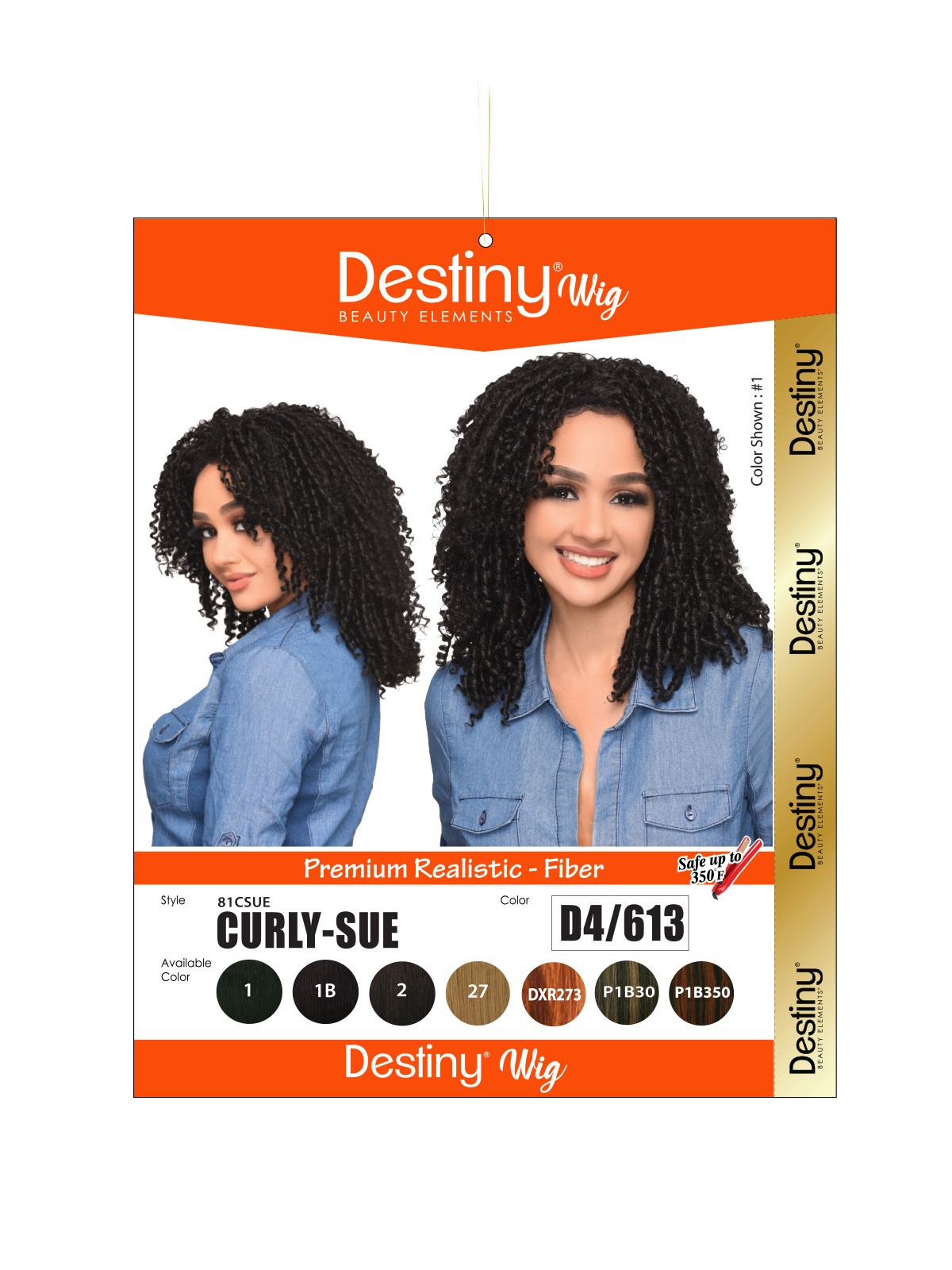 81CSUE-2