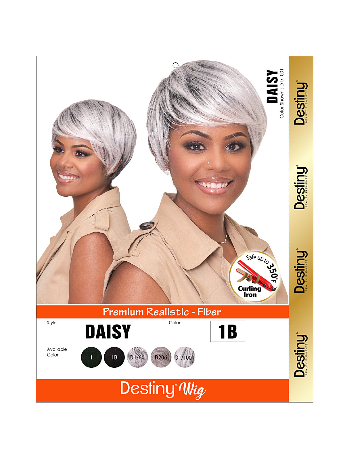 81DAISY-2