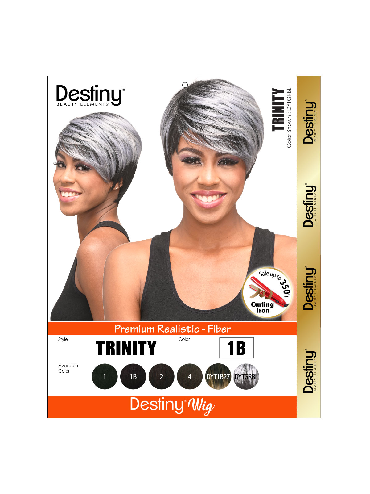 81TRIN-2