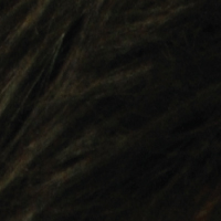 b2