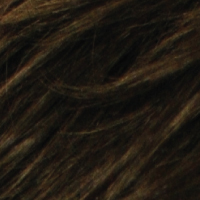 b4