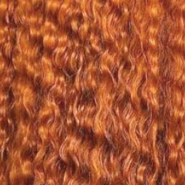 ginger-bread