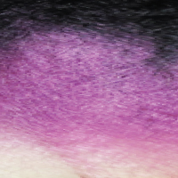 otpurple