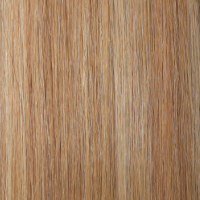 p61327