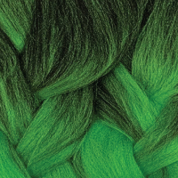 t1bgreen